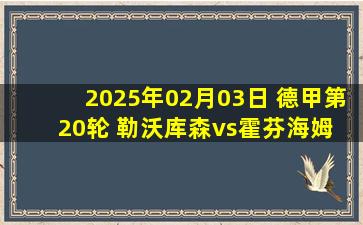 2025年02月03日 德甲第20轮 勒沃库森vs霍芬海姆 全场录像